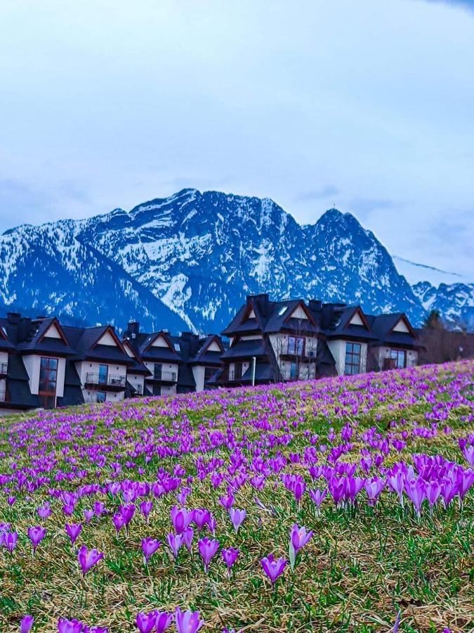 Gorskie Zacisze Zakopane